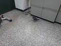 DSC00568.JPG