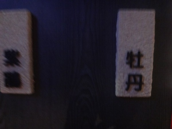 DSC00611.JPG