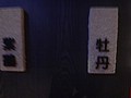 DSC00611.JPG