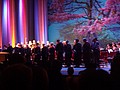 DSC00772.JPG