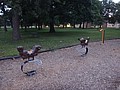 DSC00869.JPG