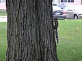 DSC00884.JPG