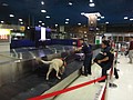 DSC00935.JPG