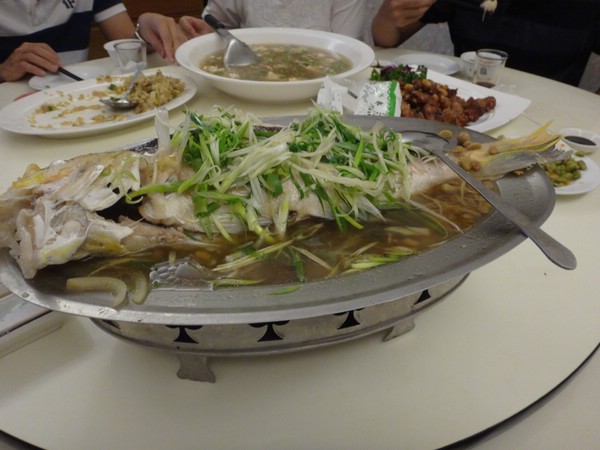 DSC00956.JPG