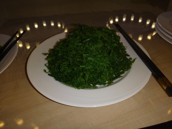 DSC01110.JPG