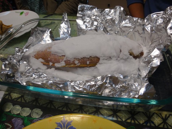 DSC01221.JPG