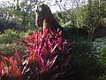 DSC01250.JPG