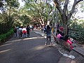 DSC01258.JPG