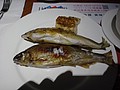 DSC01466.JPG