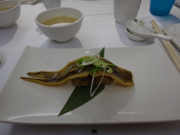 DSC01546.JPG