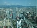 DSC01666.JPG