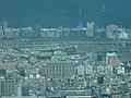 DSC01668.JPG