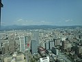 DSC03744.JPG