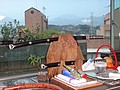 DSC01732.JPG
