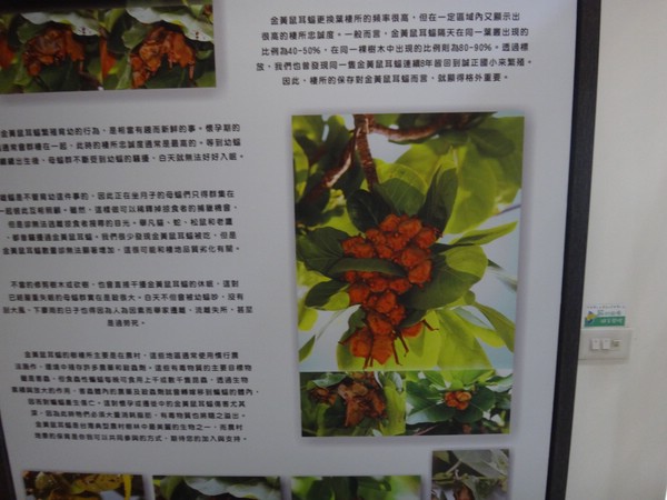DSC01930.JPG
