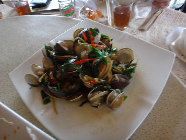 DSC01984.JPG
