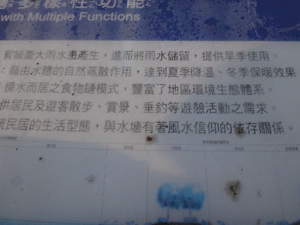 DSC02039.JPG