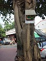 DSC01929-1.JPG