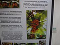 DSC01930.JPG