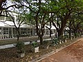 DSC01938.JPG