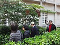 DSC01947.JPG