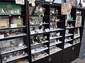 DSC02002.JPG