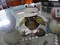 DSC02012.JPG