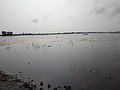DSC02016.JPG