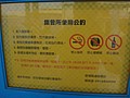 DSC02032.JPG