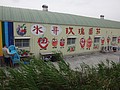 DSC02051.JPG