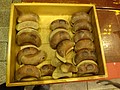 DSC02123.JPG