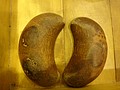 DSC02124.JPG