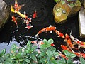 DSC02171.JPG