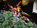 DSC02172.JPG