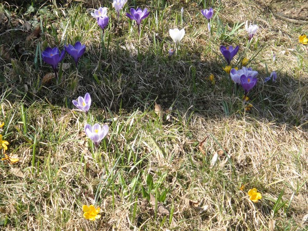 DSC03927.JPG