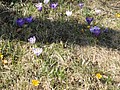 DSC03927.JPG