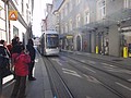 DSC03936.JPG