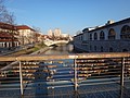 DSC02239.JPG