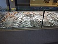 DSC02253.JPG
