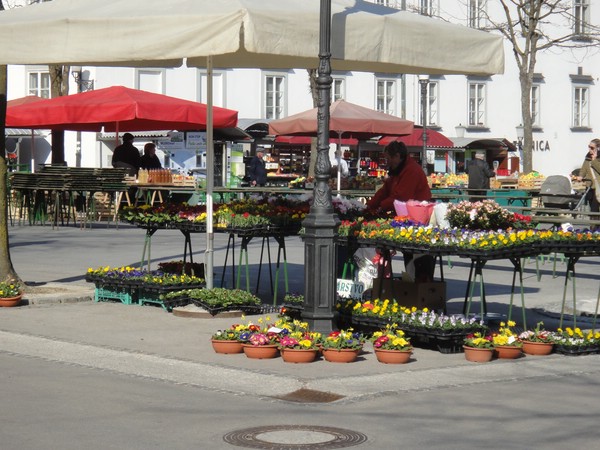 DSC03966.JPG