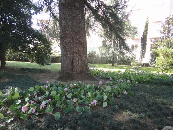 DSC03975.JPG