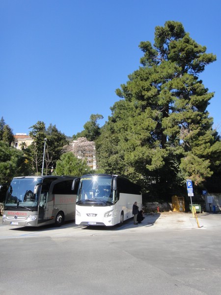 DSC03987.JPG