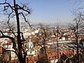 DSC03961.JPG