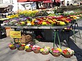 DSC03965.JPG