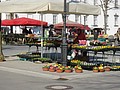 DSC03966.JPG