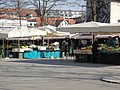 DSC03967.JPG