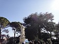 DSC03973.JPG