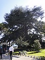 DSC03974.JPG