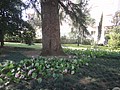 DSC03975.JPG