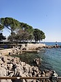 DSC03979.JPG